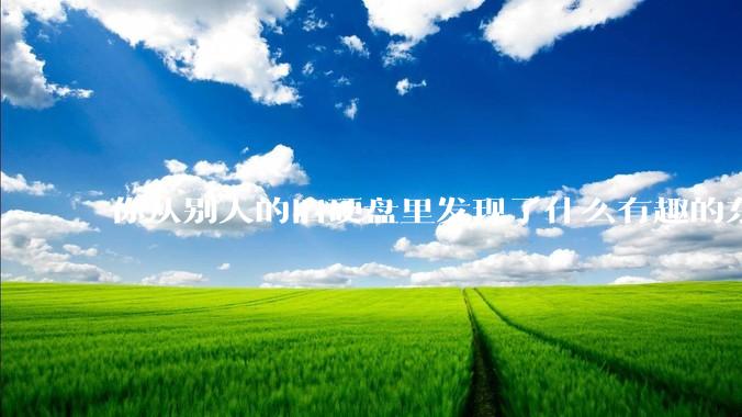 你从别人的旧硬盘里发现了什么有趣的东西？