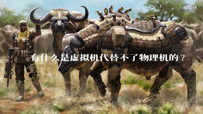 有什么是虚拟机代替不了物理机的?