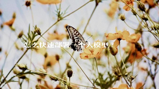 怎么快速部署一个大模型?