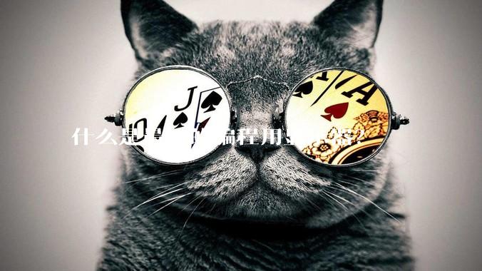 什么是最好的编程用显示器？